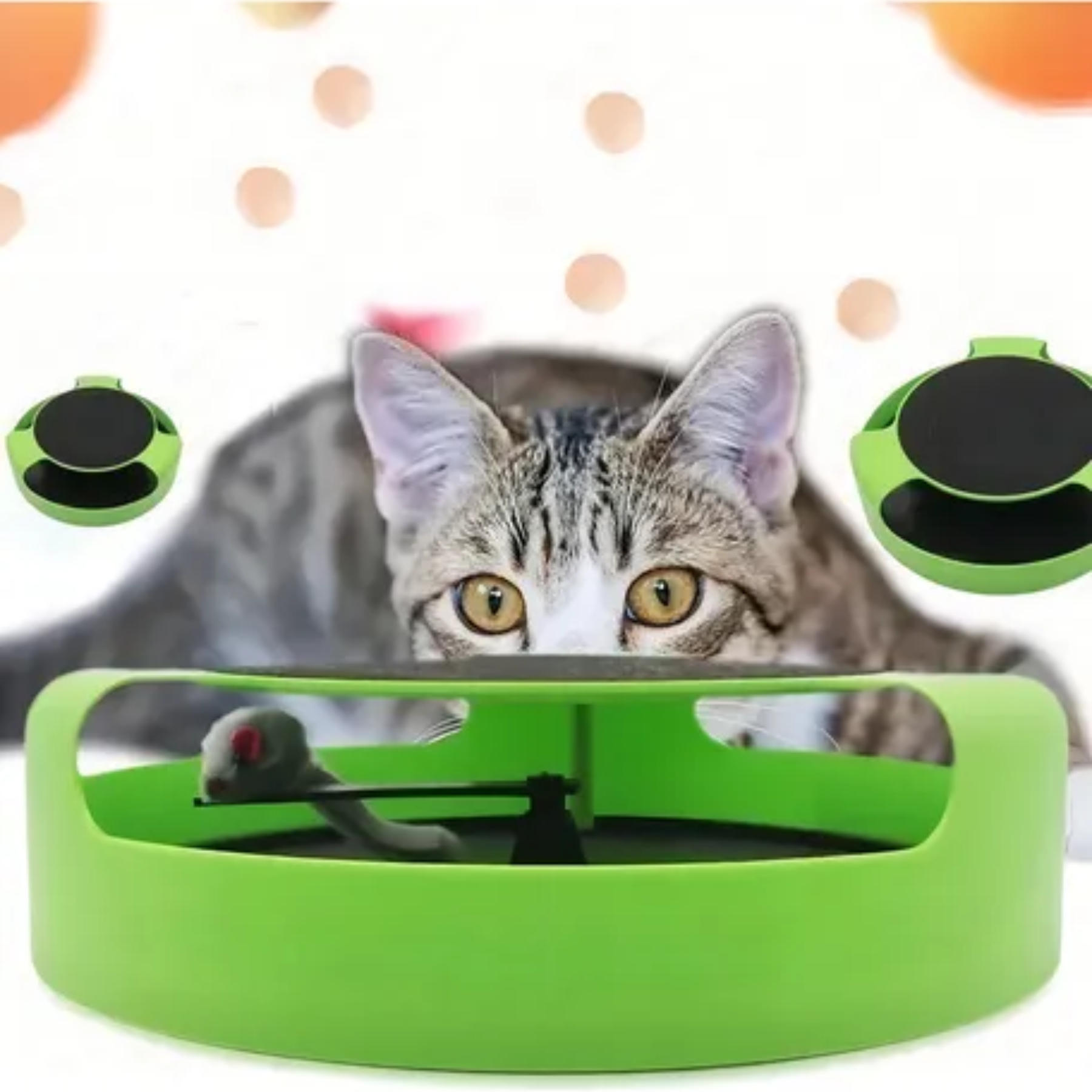 Juguete para Gatos Atrapa Ratón