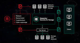 kaspersky Security Form Storage - User. Tipo Base